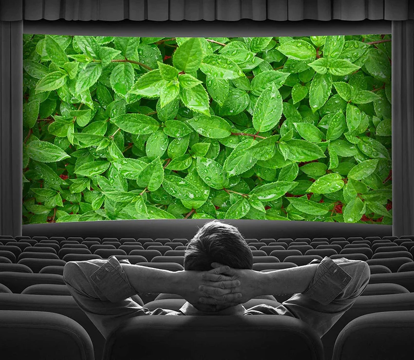 best seats in a movie theater