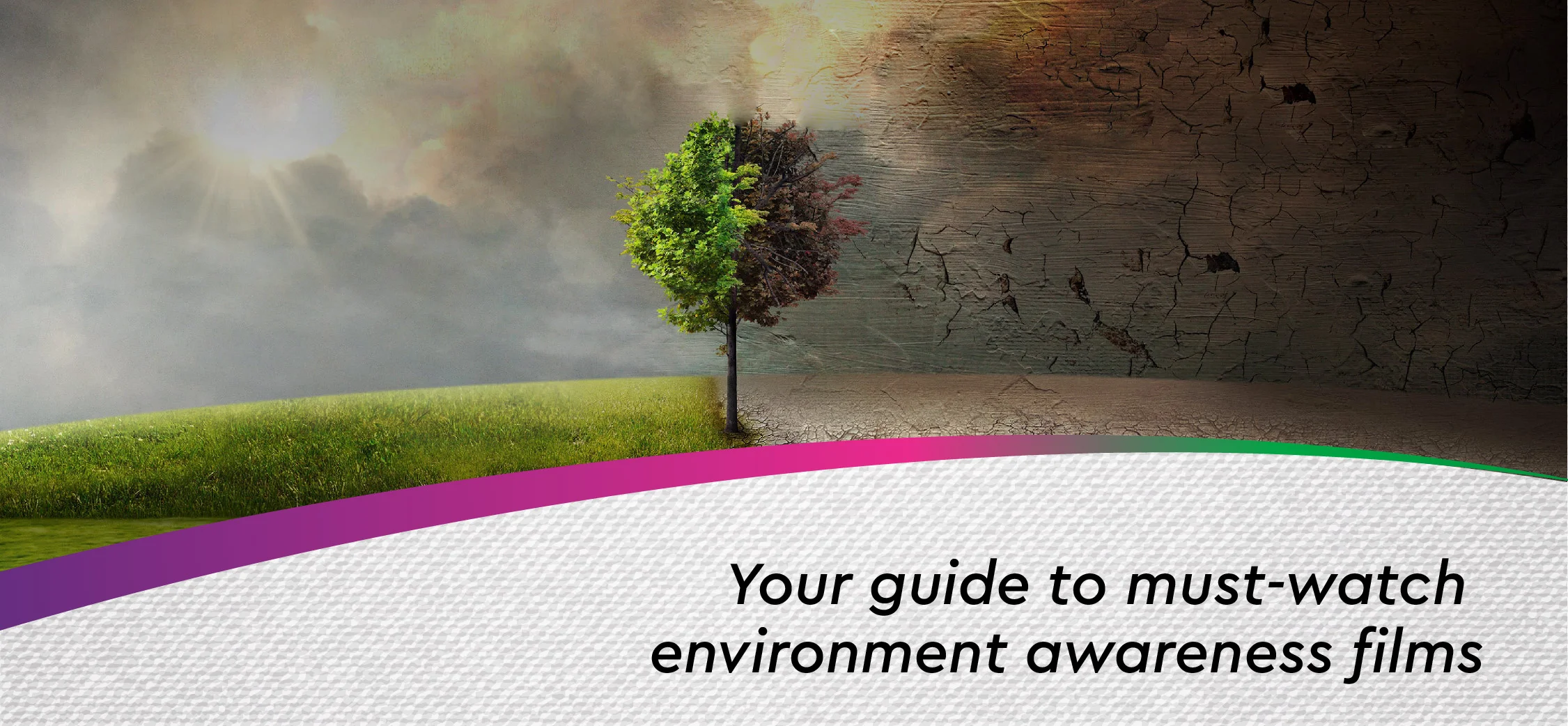 Environmental Awareness Films
